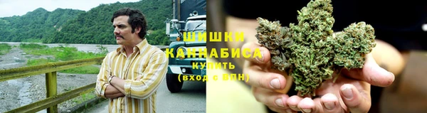 дурь Богданович
