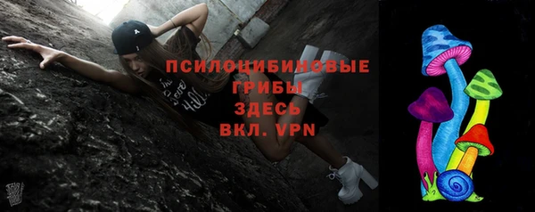 прущая мука Богородицк
