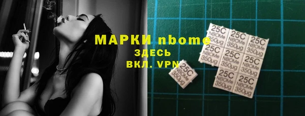 PSILOCYBIN Бородино