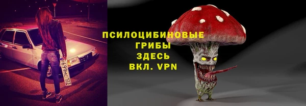 дурь Богданович