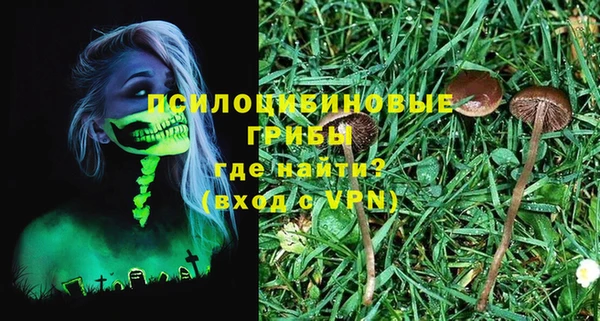 дурь Богданович