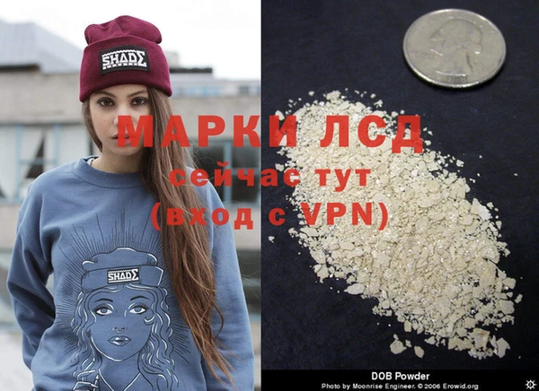 дурь Богданович