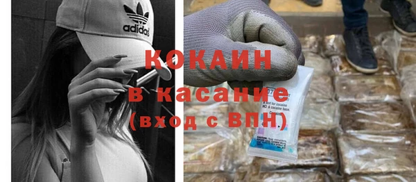PSILOCYBIN Бородино
